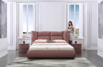 BS806