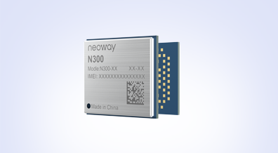 N300