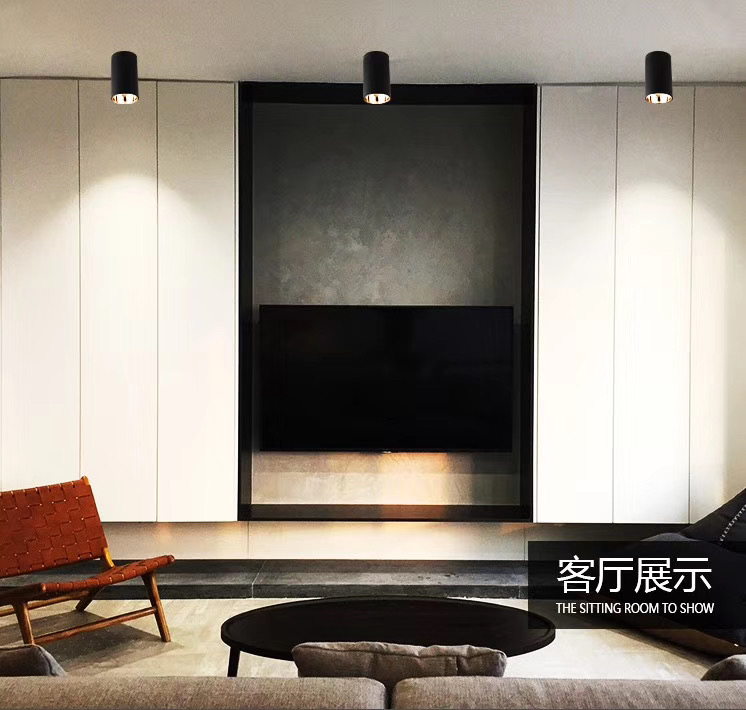 DM Suspension Down Light 