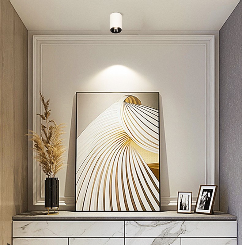 DC Surface Mounted series down light 