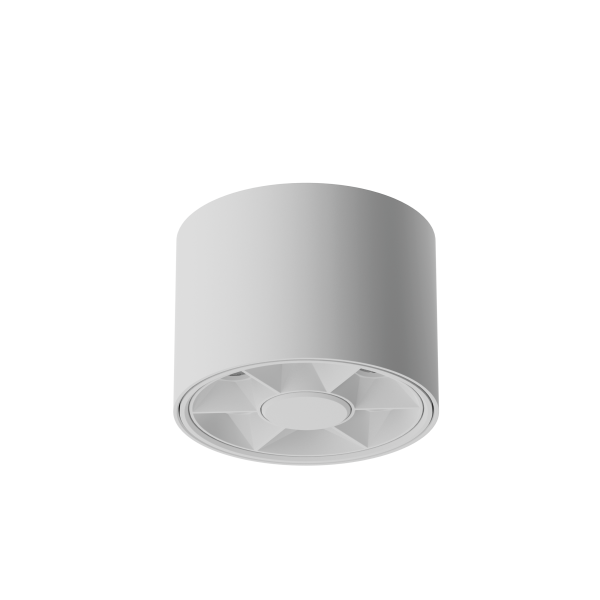SRL Surface Mounted Round Linear Down Light