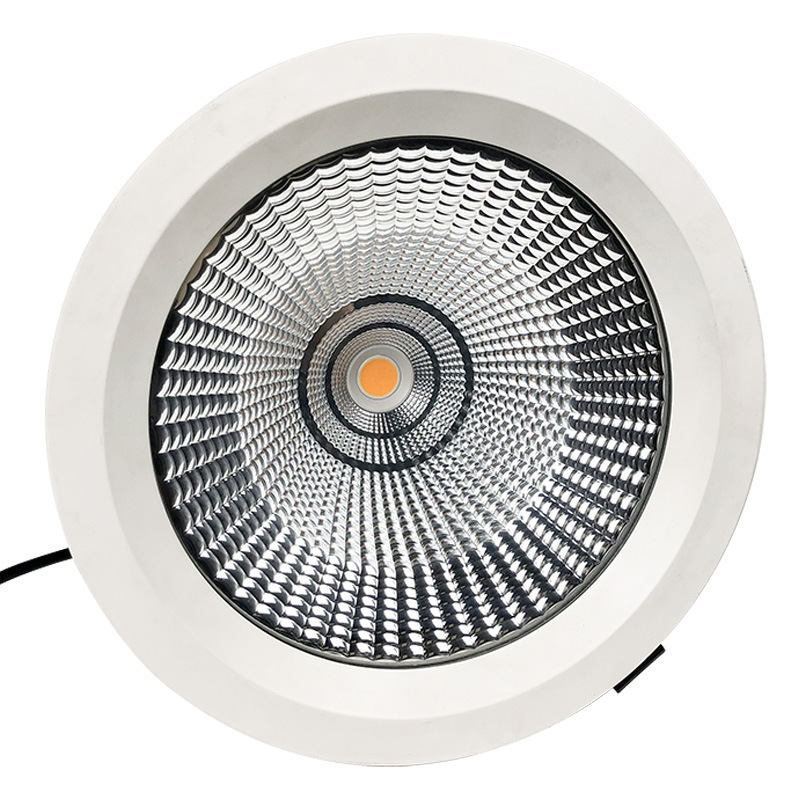 RWP SWP  Round IP65 Down Light