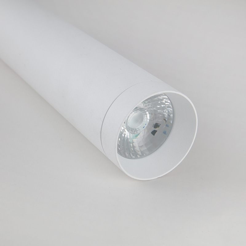 DN Pendant down light