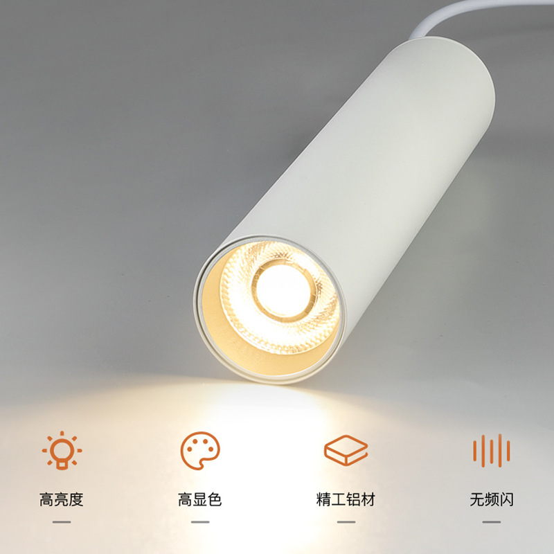 DN Pendant down light