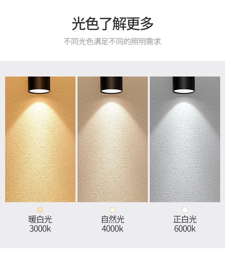 DN Pendant down light