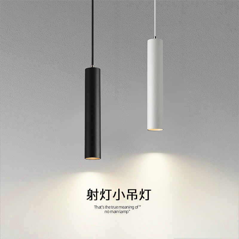 DN Pendant down light