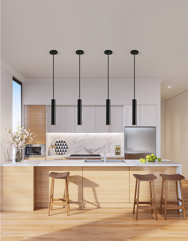DN Pendant down light