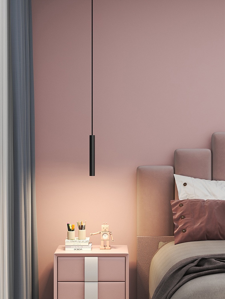 DN Pendant down light