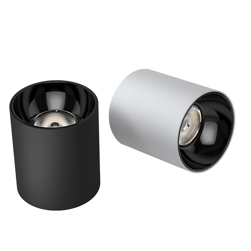 WDC IP65 Surface Mounted Down Light