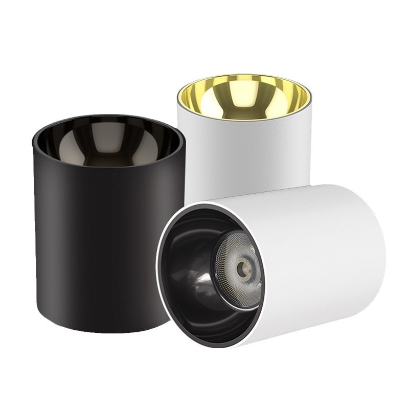 WDC IP65 Surface Mounted Down Light