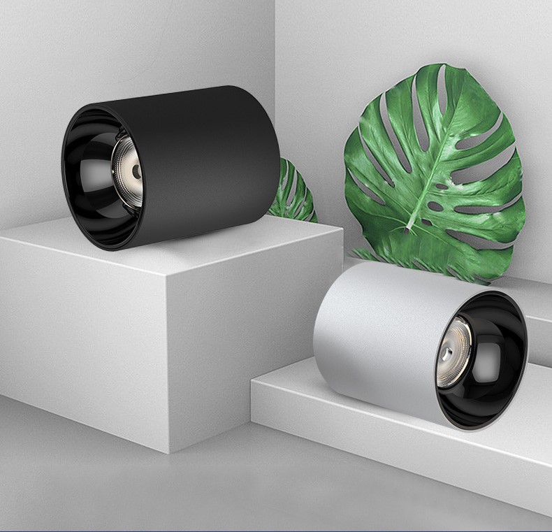 WDC IP65 Surface Mounted Down Light