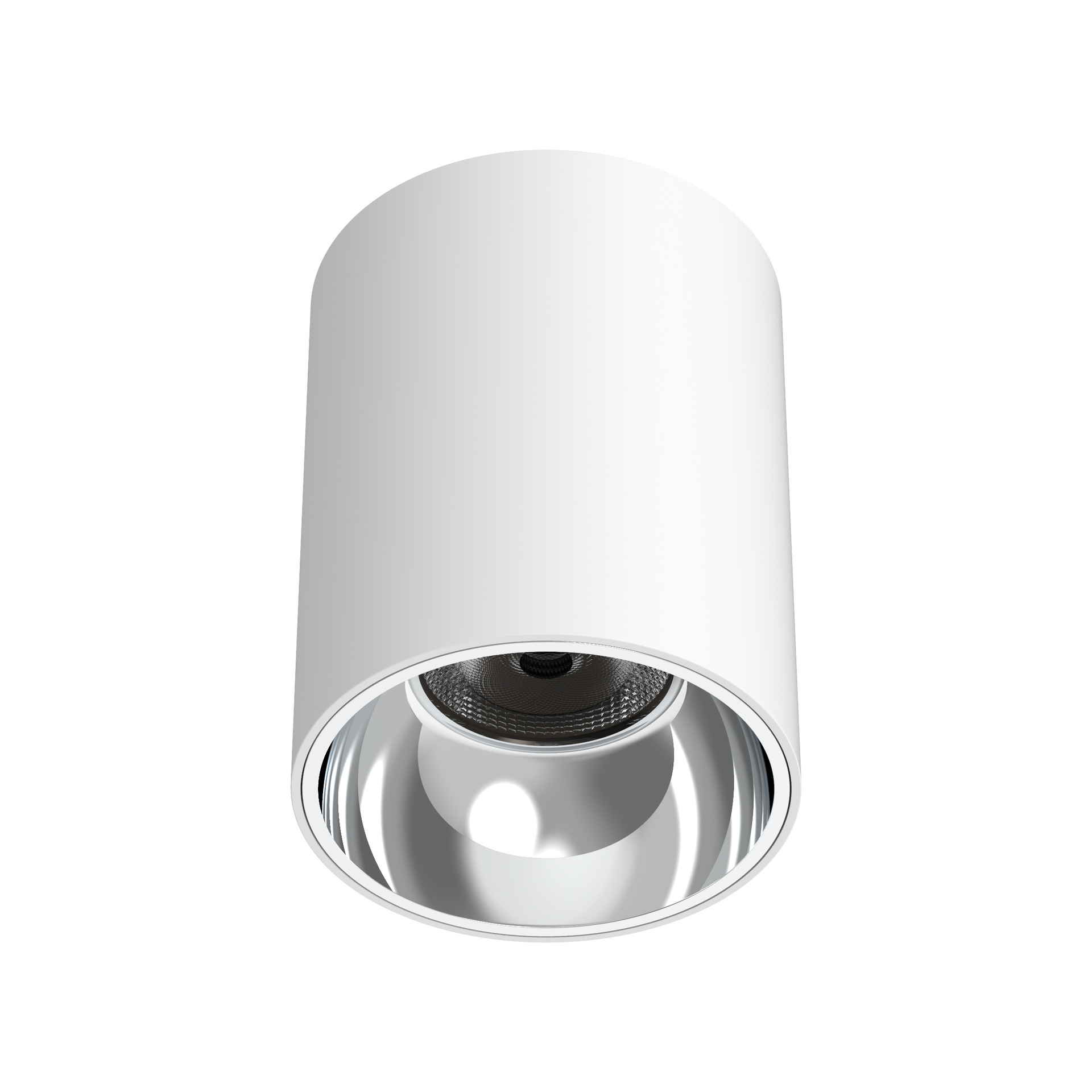 WDC IP65 Surface Mounted Down Light