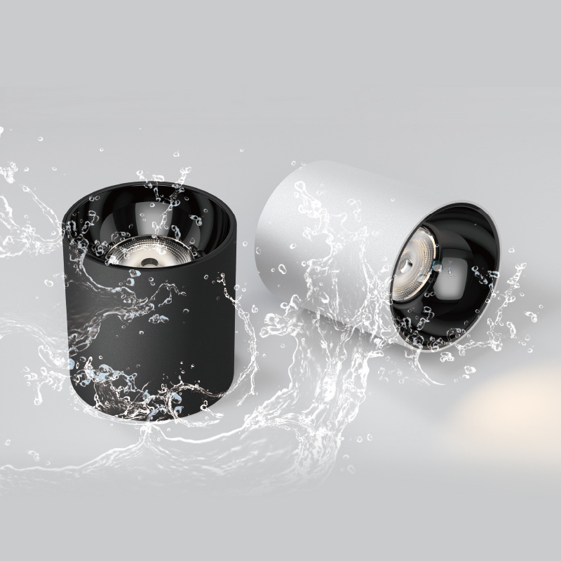 WDC IP65 Surface Mounted Down Light