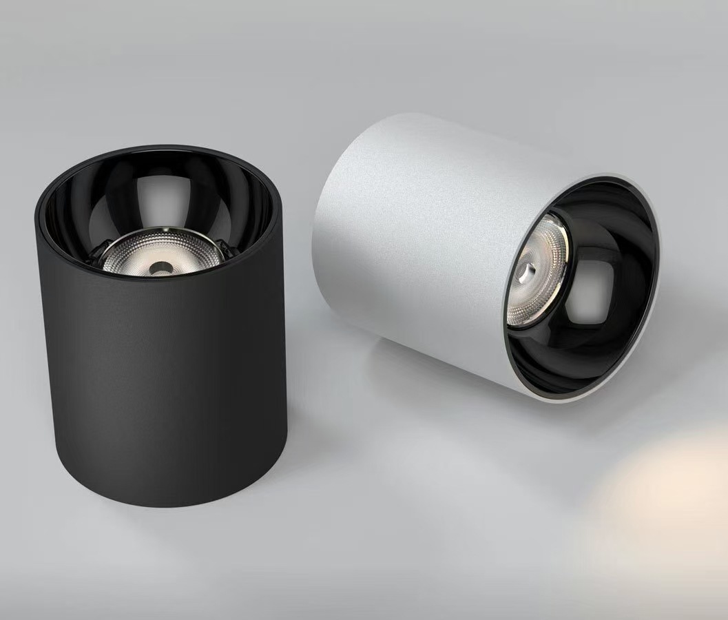 WDC IP65 Surface Mounted Down Light