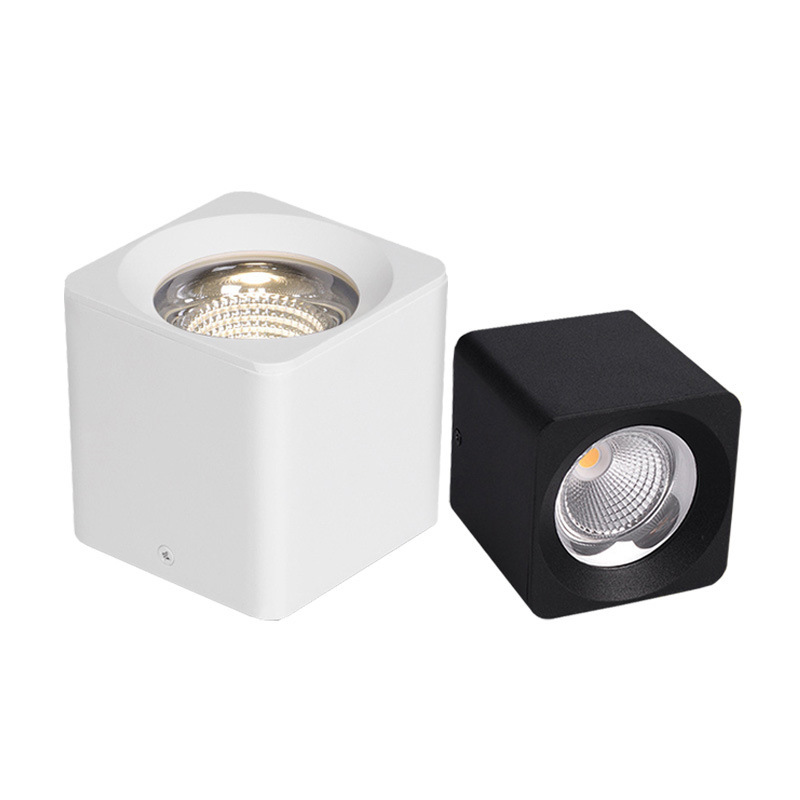 DR DS Surface Mounted Down Light