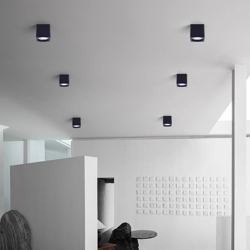 DR DS Surface Mounted Down Light