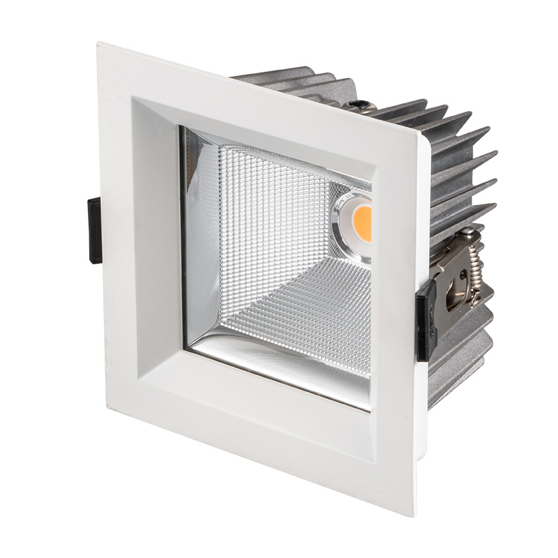 RWP SWP  Round IP65 Down Light