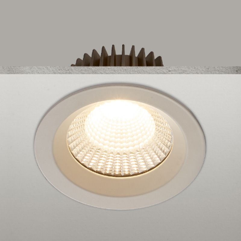 RWP SWP  Round IP65 Down Light