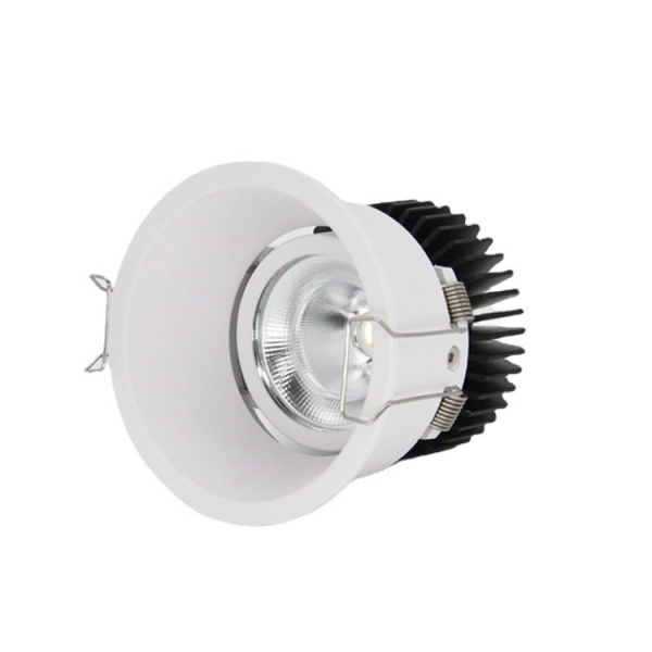 DL Deep Ceil Light
