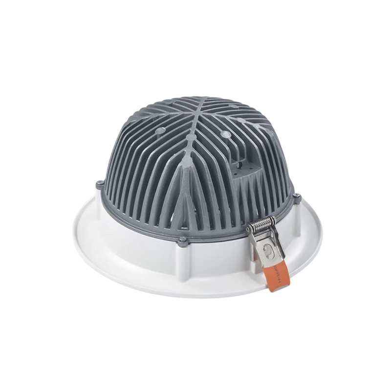 DLA Down Light