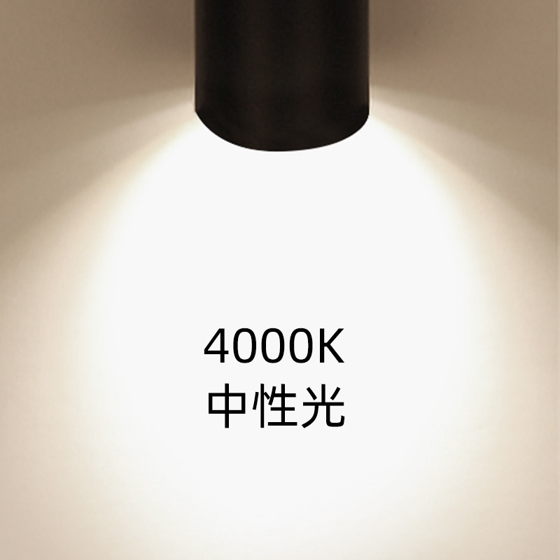 TK04 Surface Mounted Track Light 