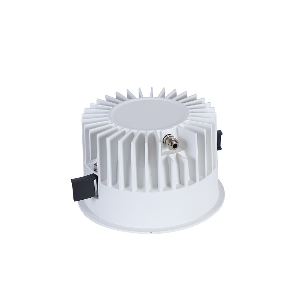 WPR WPS IP65 down Light