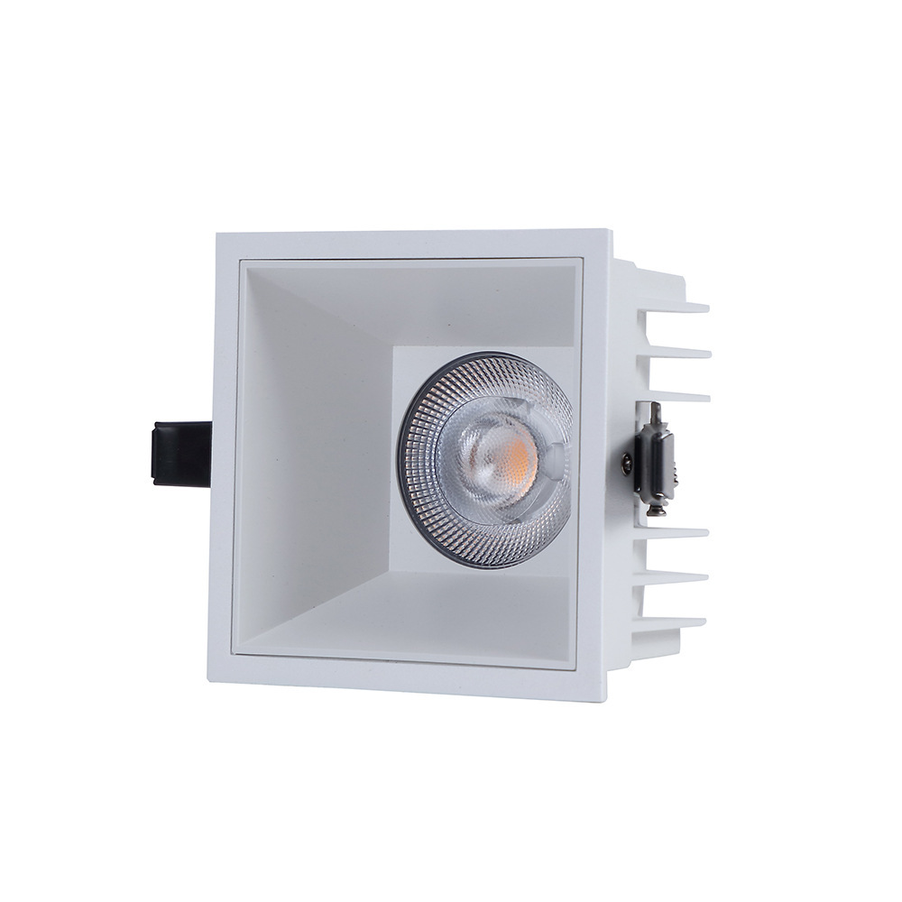 WPR WPS IP65 down Light