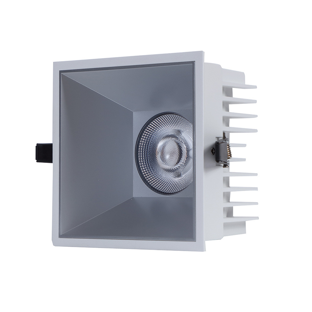 WPR WPS IP65 down Light