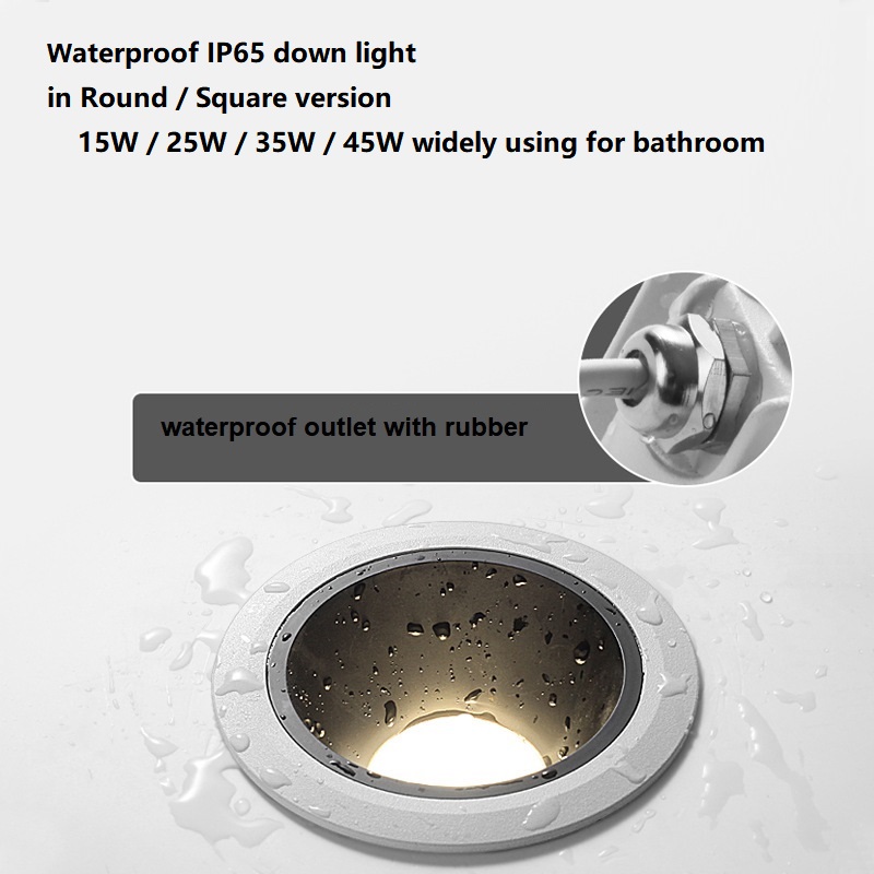 WPR WPS IP65 down Light