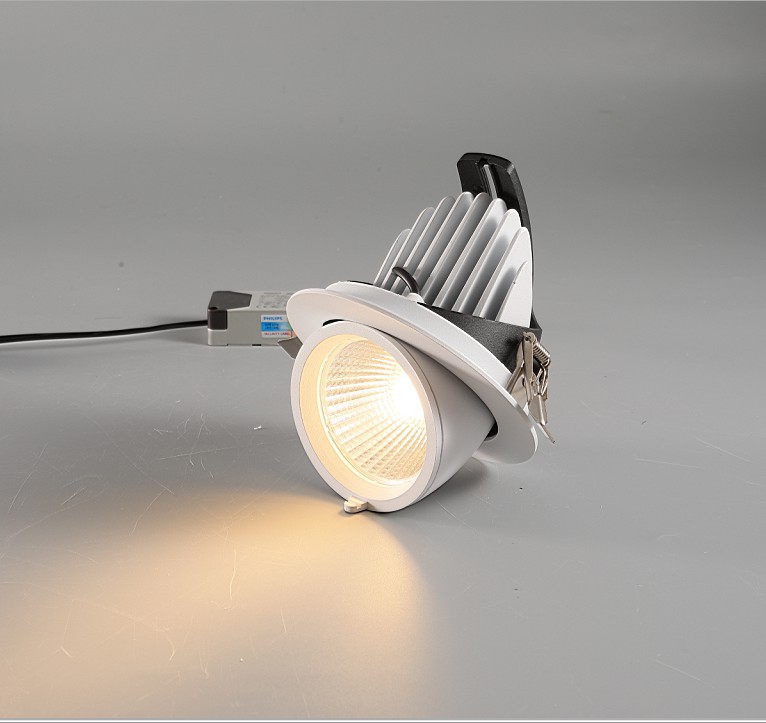 Gimbal Down Light 