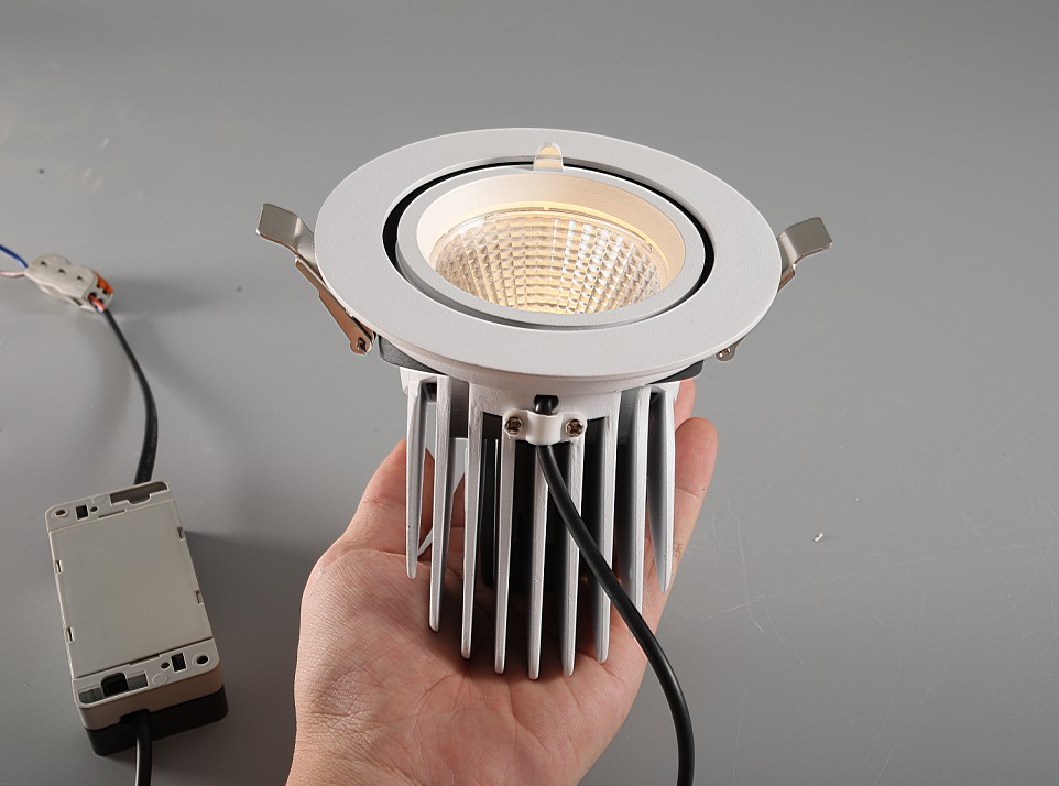 Gimbal Down Light 