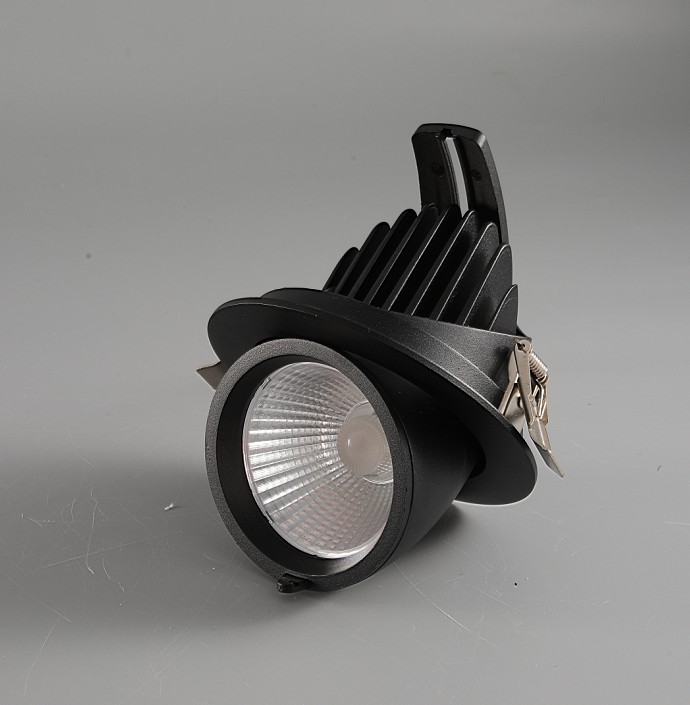 Gimbal Down Light 