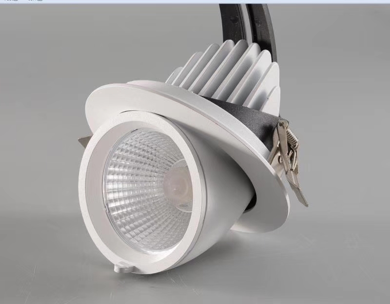 Gimbal Down Light 