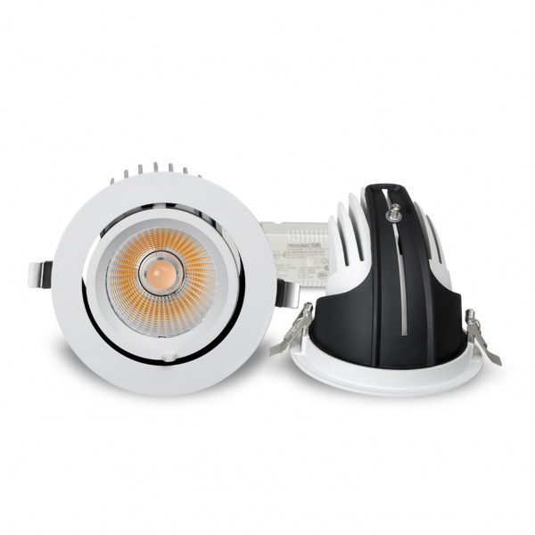 Gimbal Down Light 
