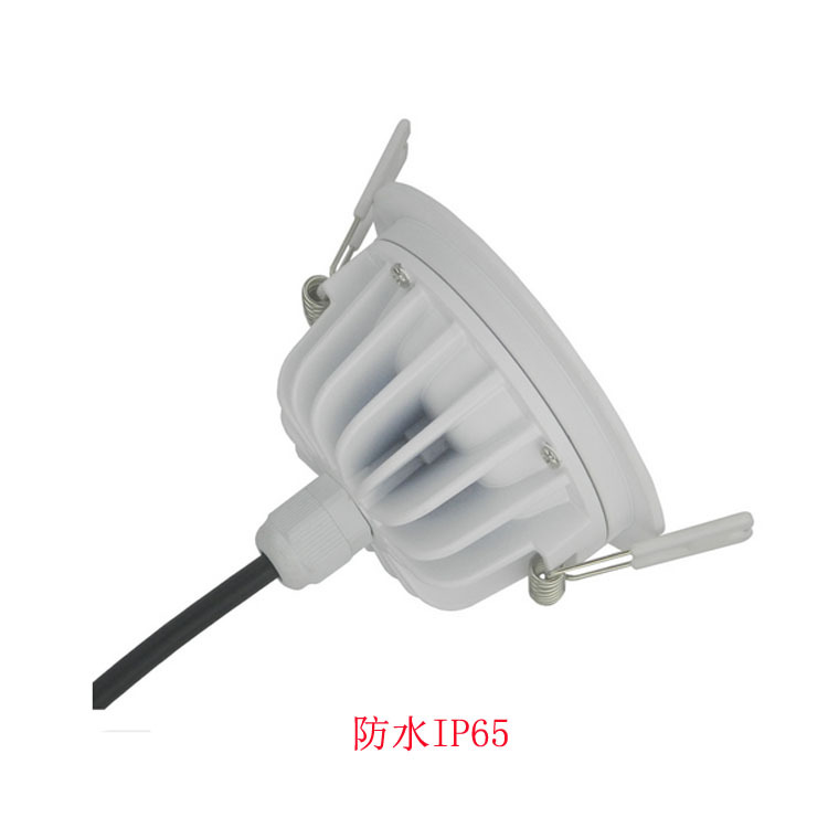 SCL SMD IP65 Down Light