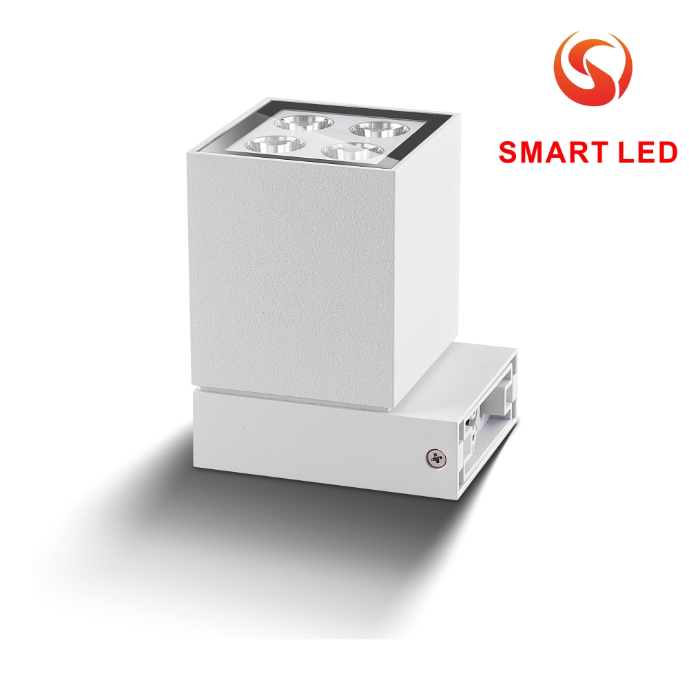 Outdoor Wall Mounted Linear light