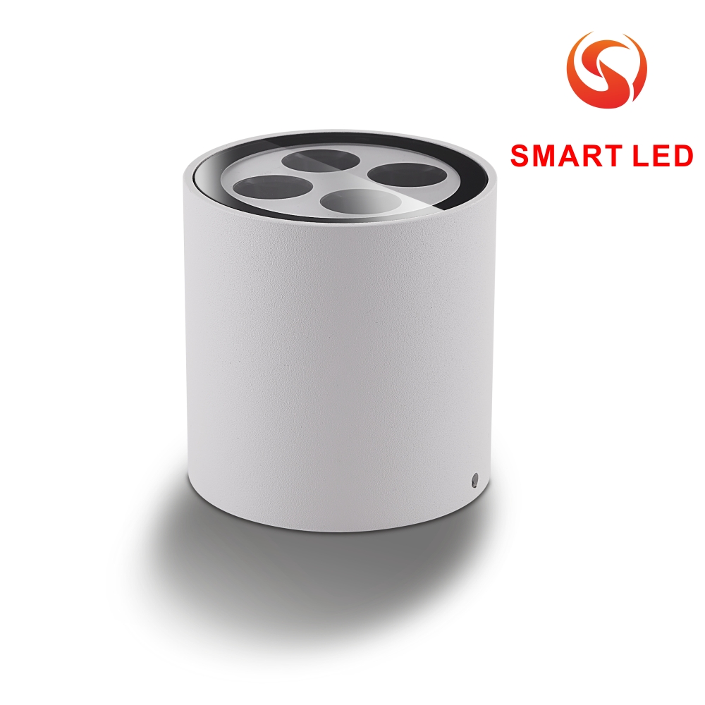 Outdoor Surface Mounted Linear Light