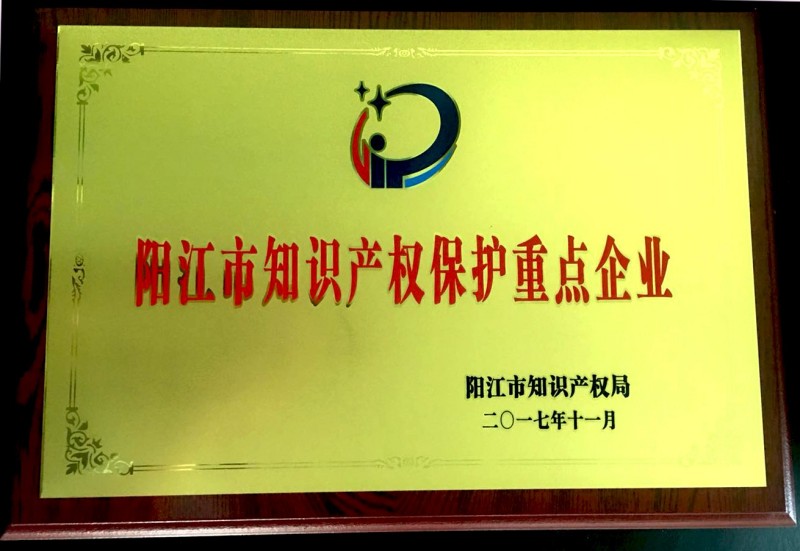 阳江市知识产权重点保护企业