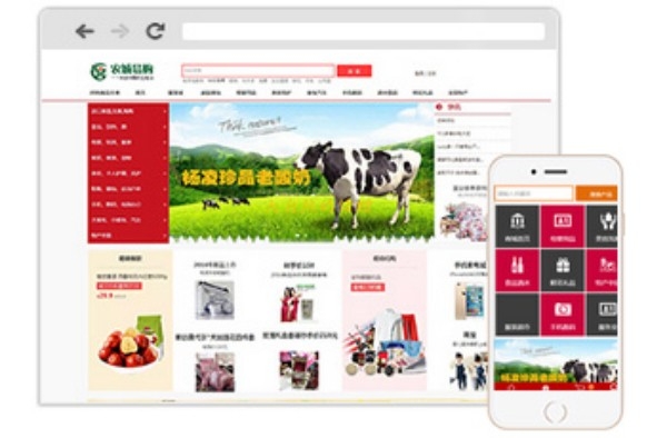 亚群网络：商城网站建设专家，开启电商新征程