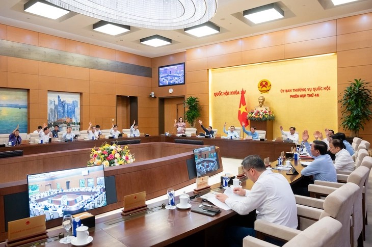 重磅利好！越南全面开放生育，玩具及婴童玩具市场将持续增长！