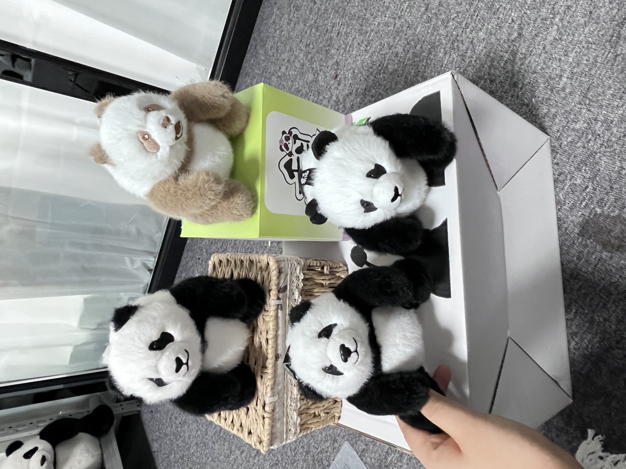 东莞市千寻日记玩具有限公司