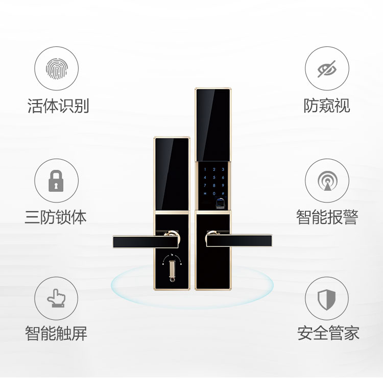 图片展示
