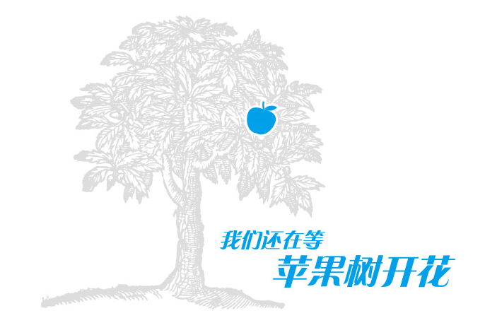 图片展示