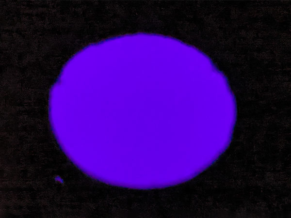 SPE Phosphor (Lighting)