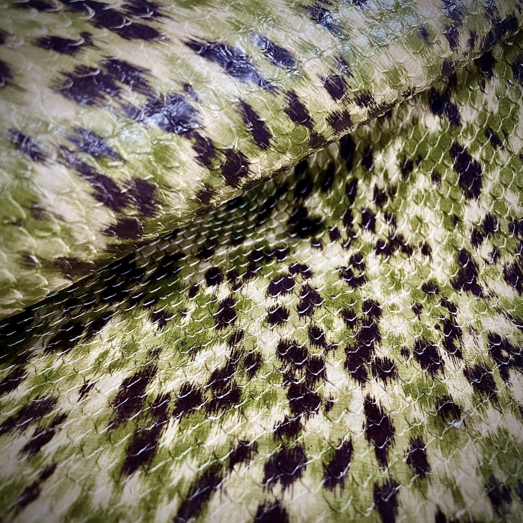Snake leopard