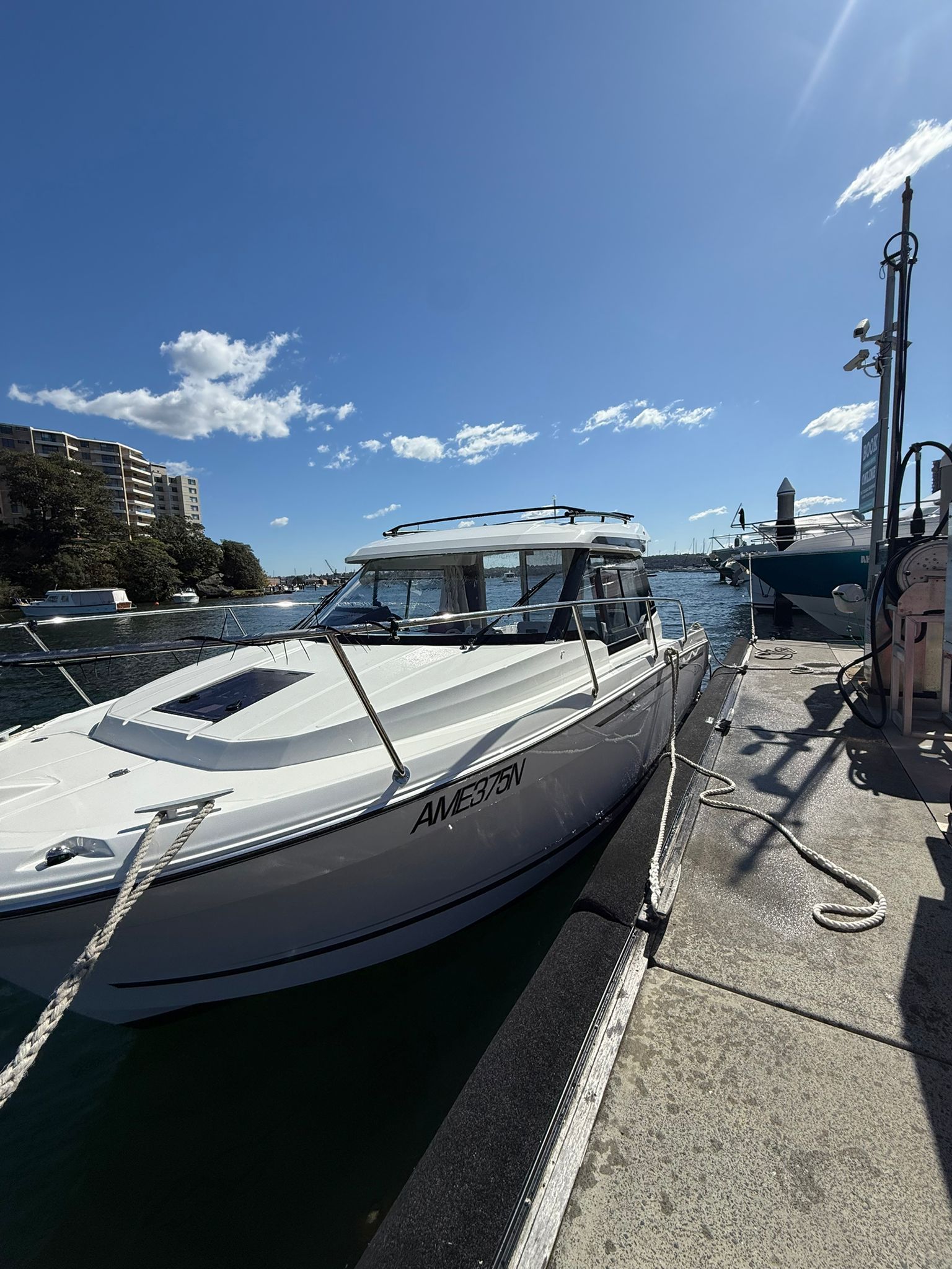 Bird Control for Marinas: Why Marine Environments Require a Different Approach